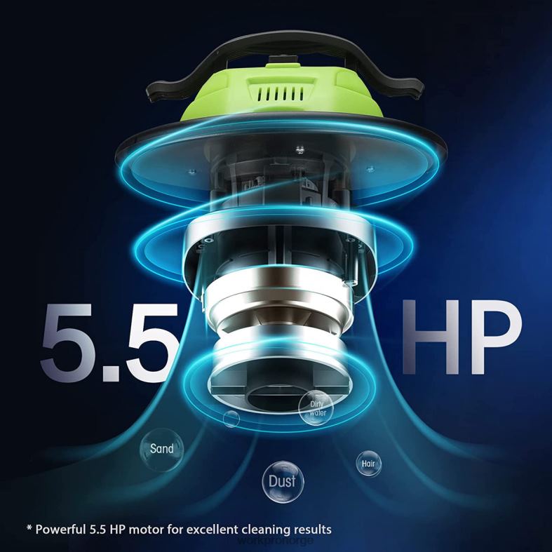 WORKPRO 5,2 gallon aske støvsuger, 5,5 peak hestekrefter aske støvsuger med hepa filter hjelpsom verktøy 622PZ212