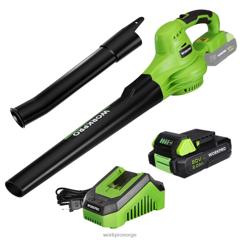 WORKPRO 20V lettvekts mini trådløs løvblåser med batteri og lader, 2-trinns kontroll morden verktøy 622PZ303