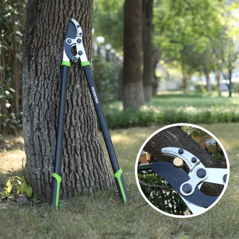 WORKPRO ambolt grenkutter, 32 tommers grenkutter med sammensatt handling, kraftig hagetretrimmer morden verktøy 622PZ282